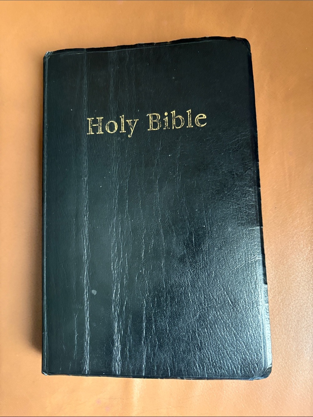 Holy Bible by Lockman Foundation 1997